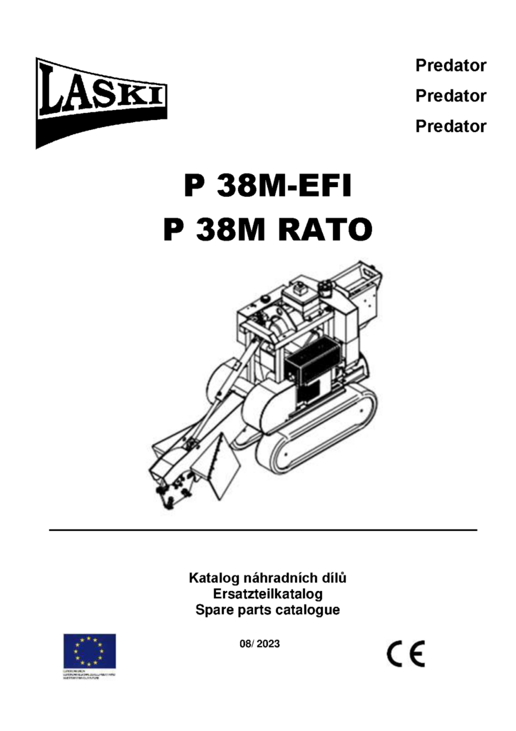 Modellskizze P38MEFI